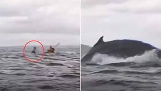 ఇది రైలు కాదు.. పట్టాలపై నడిచే శీష్‌మహల్‌.. ఒక్క టికెట్‌ ధర రూ.21లక్షలు.. ! అందులో ఎక్కితే ఉంటుందీ..