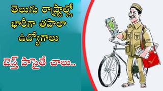 Pawan Kalyan: భక్తుల మనోభావాలు కాపాడాలన్నదే నా ఆవేదన.. పవన్ కల్యాణ్ కీలక వ్యాఖ్యలు..