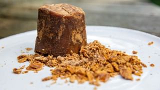 Optical illusion: మీ మైండ్ షార్ప్ అయితే పిల్లి ఎక్కడుందో కనిపెట్టండి చూద్దాం..!