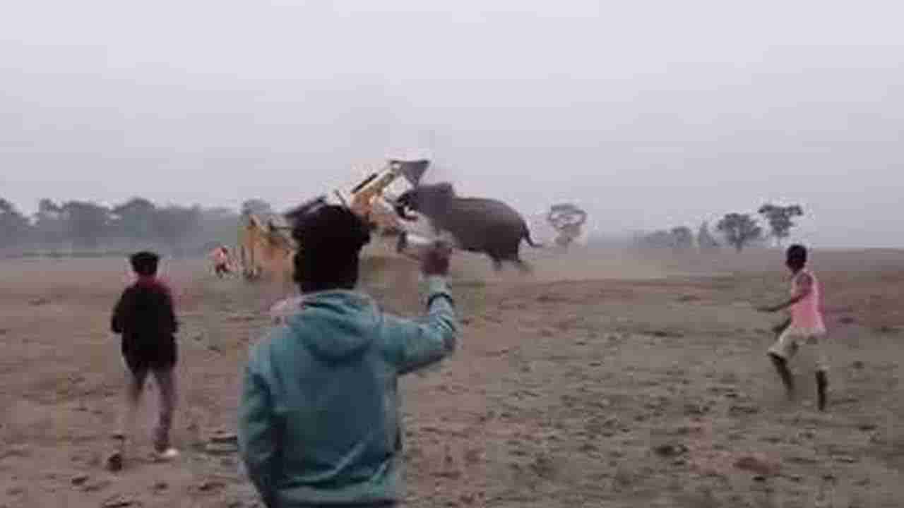 Viral Video: జేసీబీపై దాడిచేసిన ఏనుగు.. చివరకు గెలిచింది ఎవరో తెలిస్తే షాక్ అవ్వాల్సిందే..