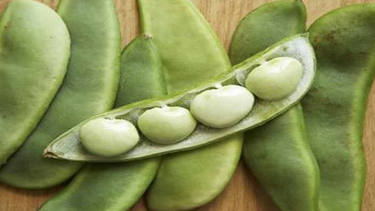 చిక్కుడును రెగ్యులర్ గా తీసుకుంటే ఆరోగ్యానికి మంచిది. ఇది శరీరానికి తగిన శక్తిని అందించి వ్యాధులతో పోరాడే సామర్థ్యాన్ని పెంచి రోగనిరోధక శక్తిని బలపరుస్తుంది. ఇవి హృద్రోగాలు, క్యాన్సర్ వంటి సమస్యలను సైతం దూరం చేస్తాయి. చిక్కుడులో ఉండే క్యాల్షియం, విటమిన్ డి ఎముకలను దృడంగా మారుస్తుంది. గర్భిణీలు, బాలింతలు, వ్యాయామం చేసేవారు వీటిని తీసుకోవడం మంచిది.