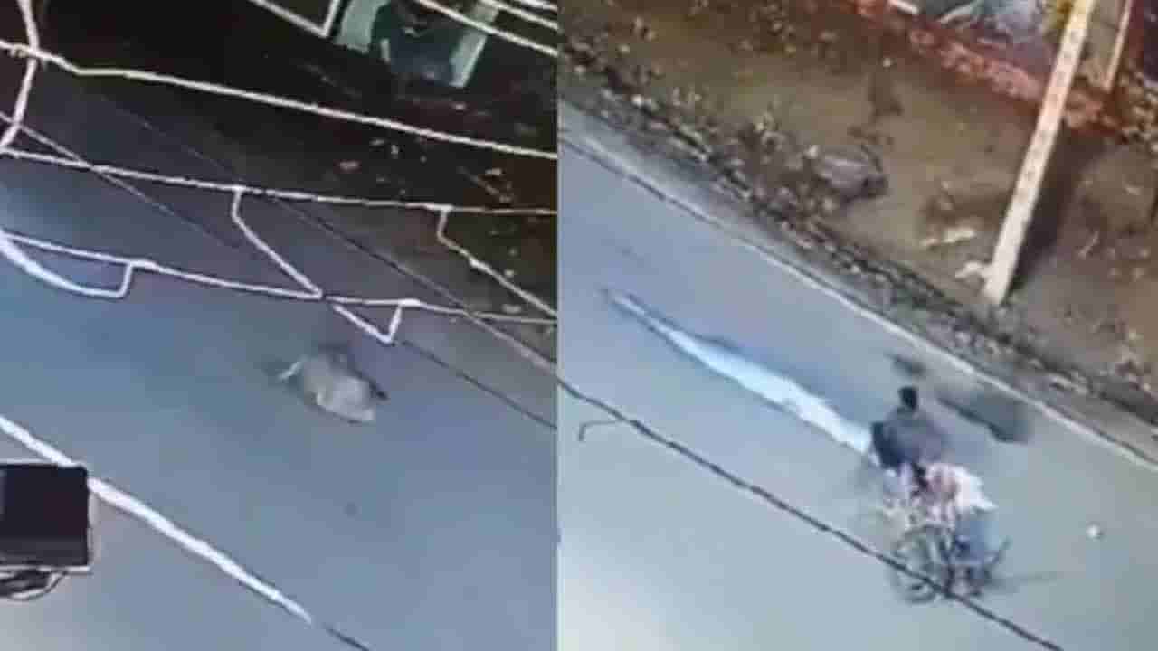 Watch: పాలవాడికి, చిరుతకు మధ్య భీకర పోరాటం.. చివరకు ఏం జరిగిందో చూడండి