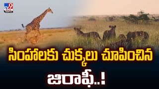 5 కేజీల బంగారం నగలు బ్యాగులో పెట్టుకుని స్కూటీపై బయలుదేరాడు.. కొంత దూరం వెళ్లాక