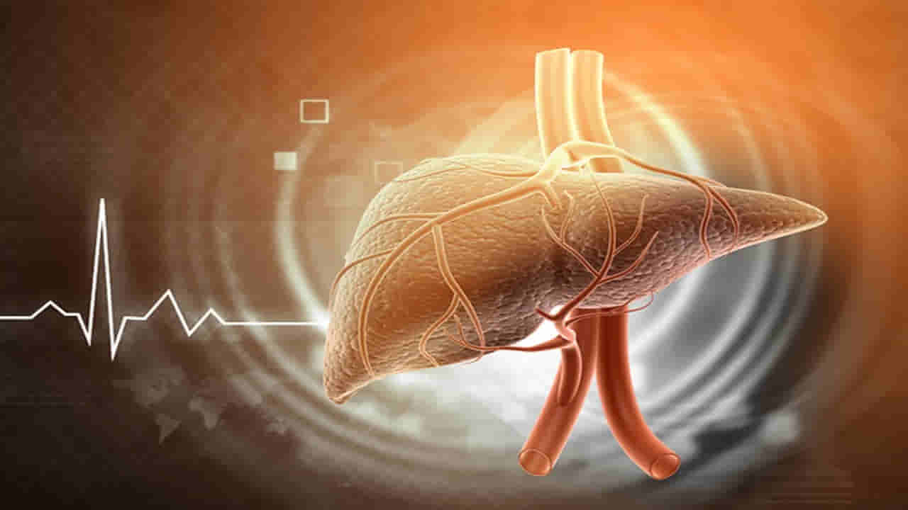 Health News: మానవ శరీరంలోనే ప్రత్యేకమైన అవయవం.. దీన్ని నిర్లక్ష్యం చేస్తే డేంజరే..