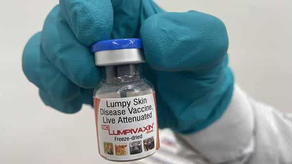 Lumpy skin vaccine: లంపీ స్కిన్ వ్యాధికి టీకా.. ప్రపంచంలోనే తొలిసారిగా తయారైంది ఎక్కడంటే..