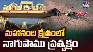 ఆ ఊళ్లో చెప్పులు అస్సలు వేసుకోరు.. కలెక్టర్‌ వచ్చినా అదే రూల్.. వీడియో