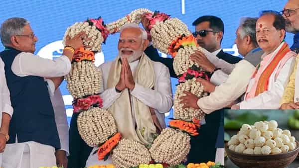 ప్రధాని మోదీ 300 రోజులు తినే మఖానా ప్రత్యేకత ఏంటో తెలుసా..? మఖానా మీకూ అవసరమే..!