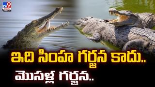 దెయ్యాలు రాత్రికి రాత్రే కట్టిన ఈ మిస్టరీ శివాలయం గురించి మీకు తెలుసా..?
