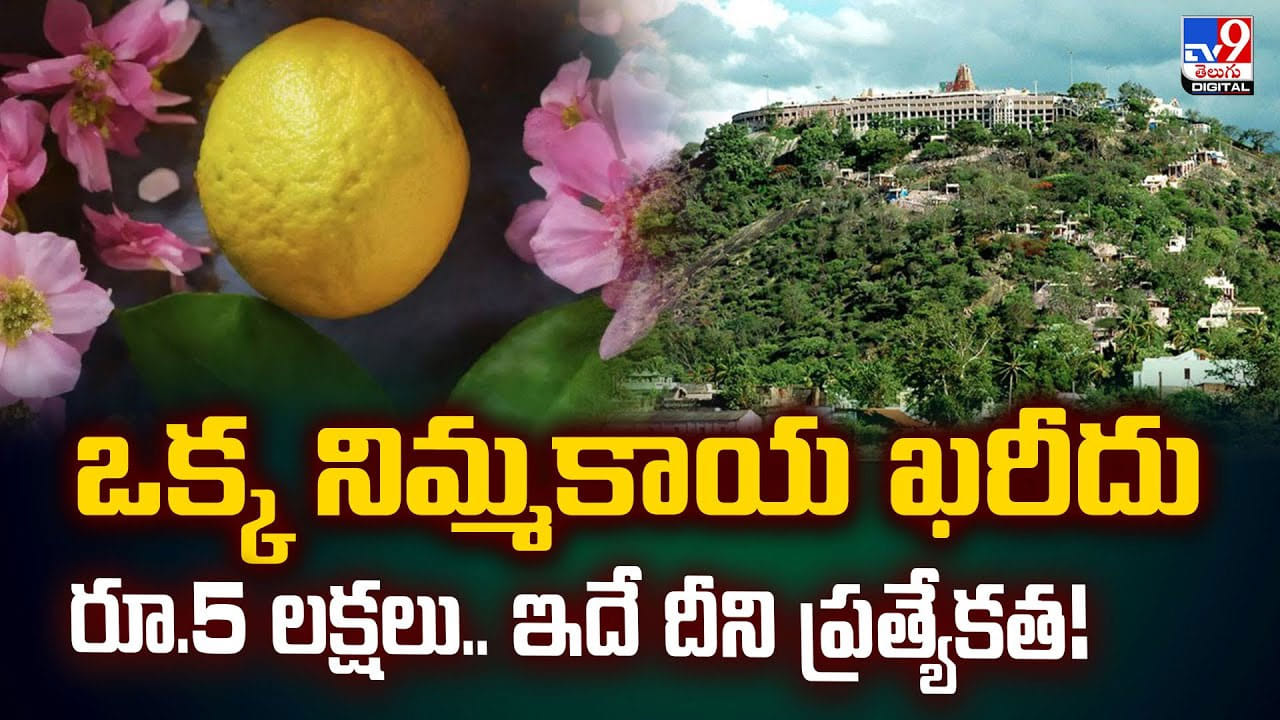 ఒక్క నిమ్మకాయ ఖరీదు రూ.5 లక్షలు.. ఇదే దీని ప్రత్యేకత! ఒక్క నిమ్మకాయ ఖరీదు రూ.5 లక్షలు.. ఇదే దీని ప్రత్యేకత!