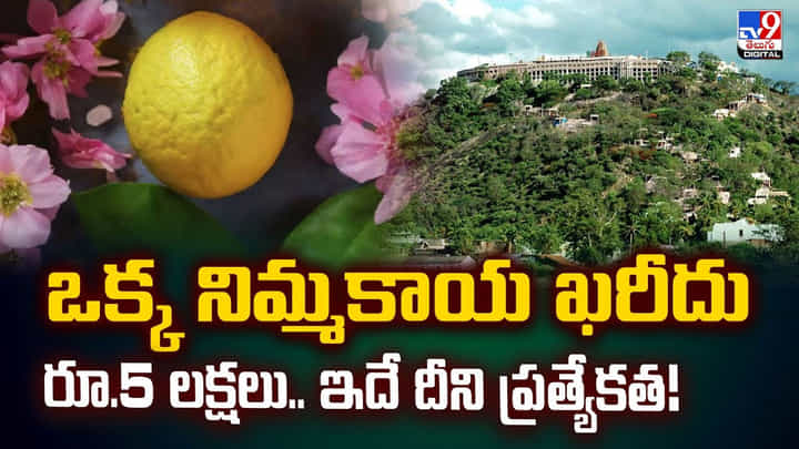 ఒక్క నిమ్మకాయ ఖరీదు రూ.5 లక్షలు.. ఇదే దీని ప్రత్యేకత! ఒక్క నిమ్మకాయ ఖరీదు రూ.5 లక్షలు.. ఇదే దీని ప్రత్యేకత!