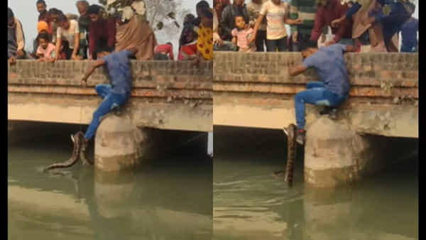 Viral Video: వామ్మో.. నీ గుండె ధైర్యానికి దండంరా మావ..! కాలువలో ఈదుతున్న కొండచిలువతో..