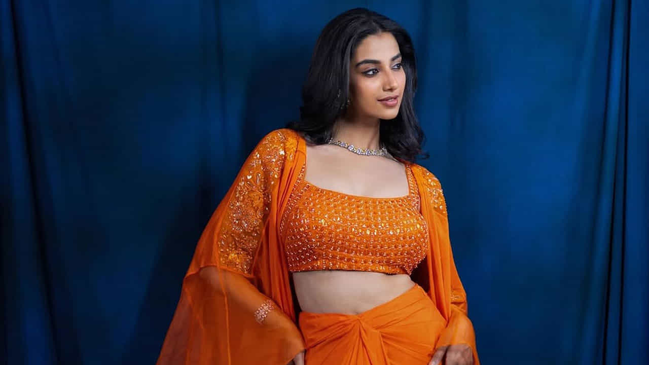 ముఖ్యంగా లక్కీ భాస్కర్, సంక్రాంతికి వస్తున్నాం వంటీ సినిమాలతో వరసగా బ్లాక్ బస్టర్ హిట్స్ తన ఖాతాలో వేసుకుంది ఈ ముద్దుగుమ్మ. 
