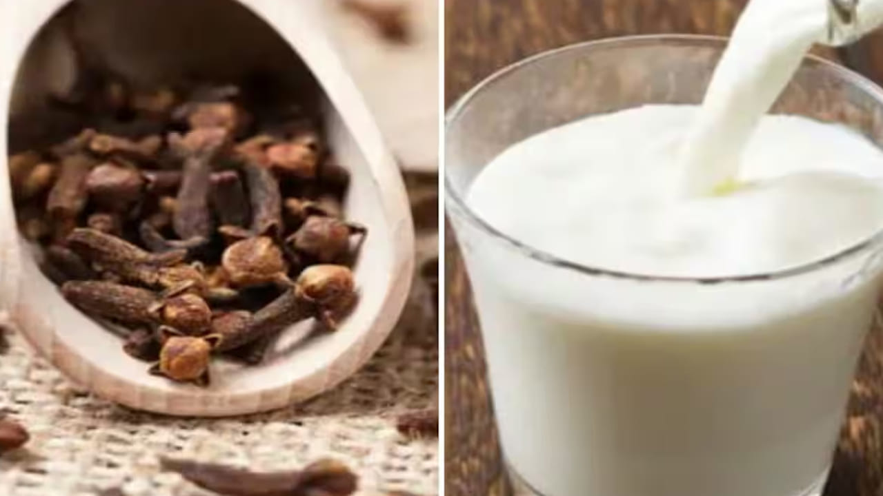 లవంగం పాలు తాగడం వల్ల శరీరానికి బలం చేకూరుతుంది. అలసట, బద్ధకం తొలగిపోతాయి. ఇందులో ఉండే క్యాల్షియం, పొటాషియం శరీరంలో కొత్త శక్తిని నింపుతాయి. లవంగం పాలు తాగడం వల్ల ఇమ్యూనిటీ పవర్ పెరుగుతుంది. జలుబు, దగ్గుతో బాధపడేవారికి ఇది సూపర్ డ్రింక్ అంటున్నారు నిపుణులు. 