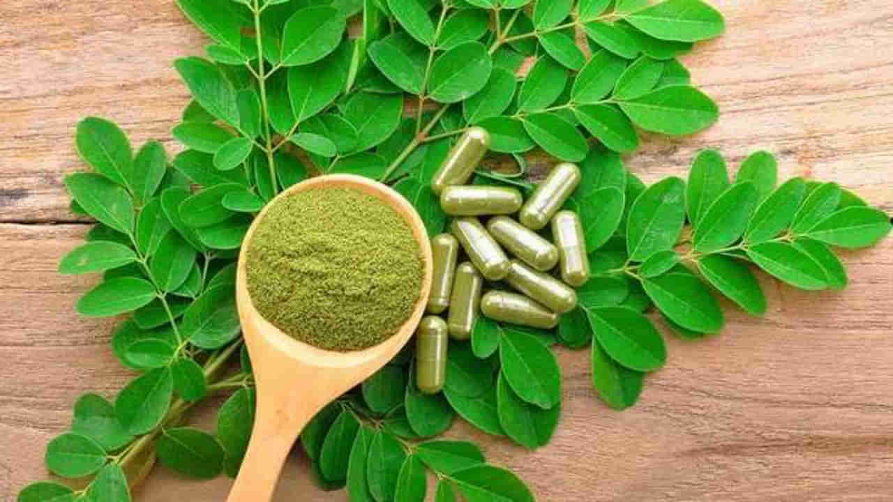 Moringa Benefits: ఒక చెంచా మునగాకు పొడితో ఇన్ని లాభాలా..