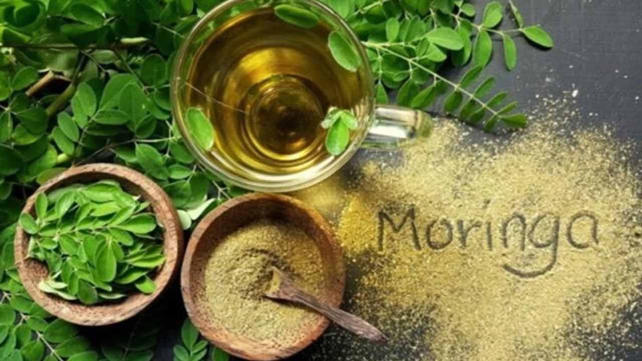 ఖాళీ కడుపుతో మునగ ఆకుల నీటిని తాగడం వల్ల జీవక్రియను పెంచడం, ఆకలిని తగ్గించడం ద్వారా బరువు తగ్గడంలో సహాయపడుతుంది. ఇది మీకు ఎక్కువ సేపు కడుపు నిండుగా ఉంచుతుంది. అనారోగ్యకరమైన ఆహారాలను తినాలనే కోరికను తగ్గిస్తుంది.