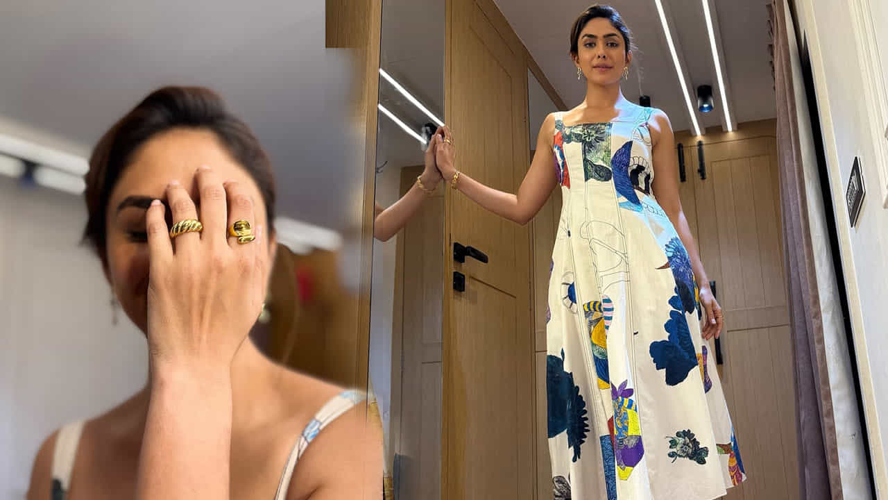 తర్వాత హాయ్ నాన్న వంటి పలు సినిమాల్లో నటించి మెప్పించింది.హీరో నాని సరసన హాయ్ నాన్న సినిమాతో మరో సక్సెస్ అందుకుంది.ఈ మూవీ సక్సెస్ తర్వాత విజయ్ దేవరకొండ సరసన ఫ్యామిలీ స్టార్ మూవీలో నటించింది. కానీ ఈ మూవీ బాక్సాపీస్ వద్ద నిరాశే మిగిలించింది. 