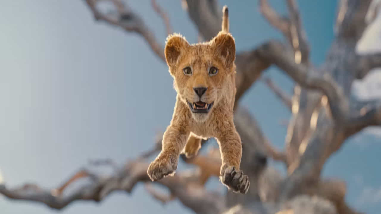 ఇక ముఫాసా : దిలయన్ కింగ్ మూవీ డిస్నీ ప్లస్ హాట్ స్టార్లో తెలుగు, తమిళం, హిందీ భాషాల్లో విడుదల కానుంది.