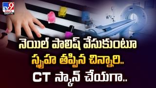 వద్దన్నా వినలేదు.. ఏనుగుకు ఎదురెళ్లాడు.. చివరకు జర్మన్ టూరిస్ట్ పరిస్థితి ఇది!వీడియో