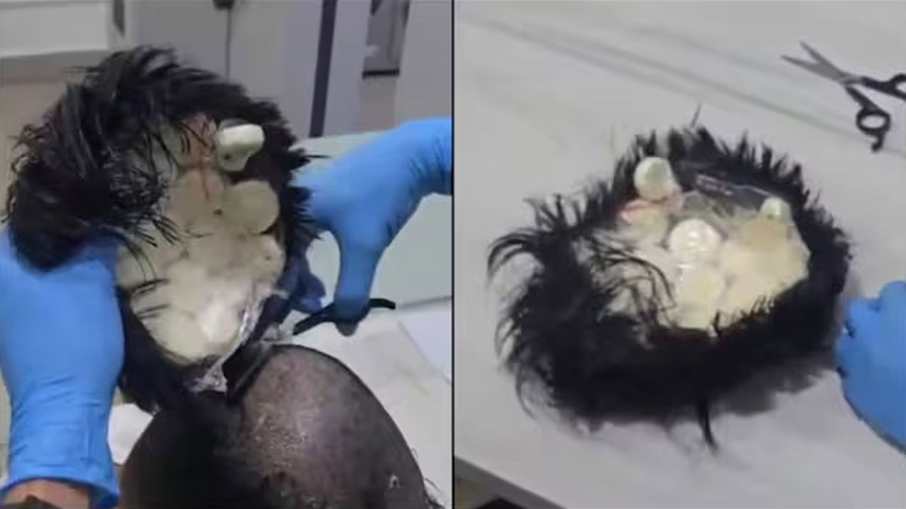 Viral Video: సార్ టిప్‌ టాప్‌గా విగ్‌తో ఎయిర్‌పోర్ట్‌కి వచ్చారు.. తేడా అనిపించి.. చెక్ చేయగా...