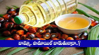 టీలో దాల్చిన చెక్క కలిపి తాగడం వల్ల కలిగే ఆరోగ్య ప్రయోజనాలు మీకు తెలుసా..?