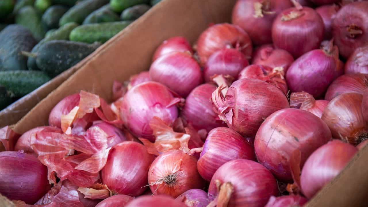 Raw Onions: పచ్చి ఉల్లి తినే అలవాటు మీకూ ఉందా? అయితే మీరీ విషయం తెలసుకోవాల్సిందే..