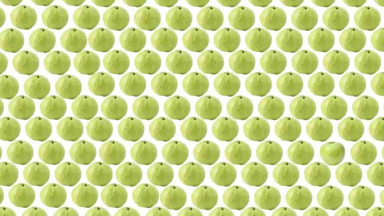 Optical illusion: గోవా అనుకోని గ్రీన్ ఆపిల్ ని కూడా కలిపేసారు..! మీరు గ్రీన్ ఆపిల్ ని కనిపెట్టగలరా..?