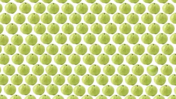 Optical illusion: గోవా అనుకోని గ్రీన్ ఆపిల్ ని కూడా కలిపేసారు..! మీరు గ్రీన్ ఆపిల్ ని కనిపెట్టగలరా..?