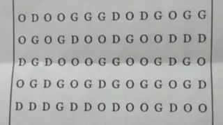 Watch: మహాశివరాత్రి వేళ శివాలయం ముందు తల వంచి మోకరిల్లిన ఎద్దు.. భక్తి పారవశ్యంలో భక్తులు!