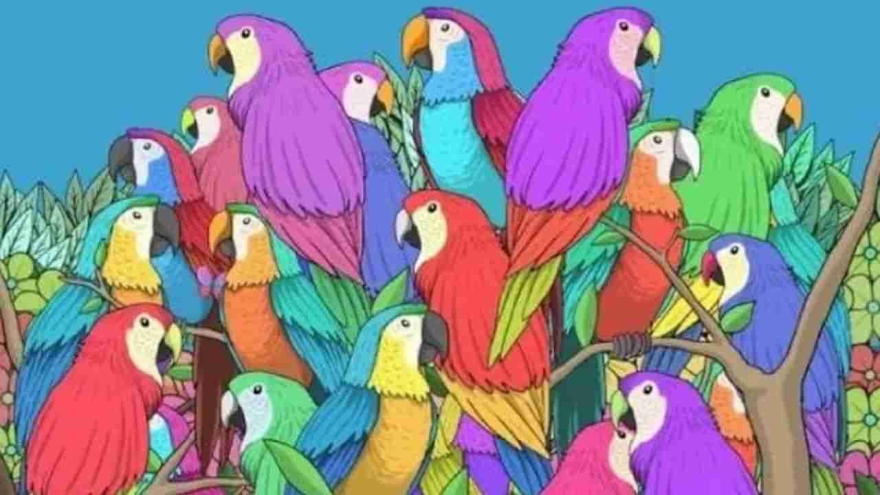 Optical illusion: కేవలం 6 సెకన్లలో దాగివున్న సీతాకోకచిలుకను కనిపెట్టండి చూద్దాం..!