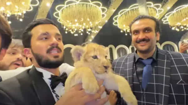 స్నేహితుడి పెళ్లికి ఊహించని గిఫ్ట్ ఇచ్చిన యూట్యూబర్.. కట్ చేస్తే.. వెరైటీ శిక్షవిధించిన కోర్టు..!