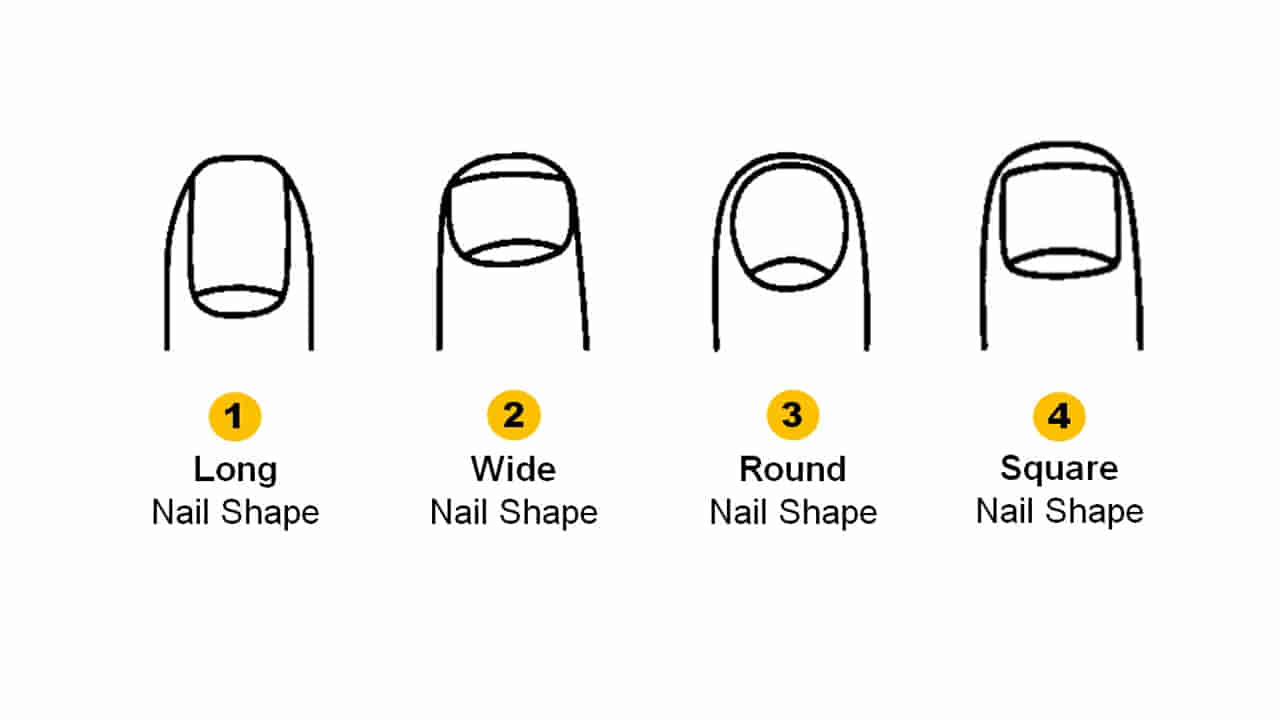 మీ గోరు ఆకారం మీరెలాంటివారో చెప్పేస్తుంది.. ఎలాగో తెల్సా