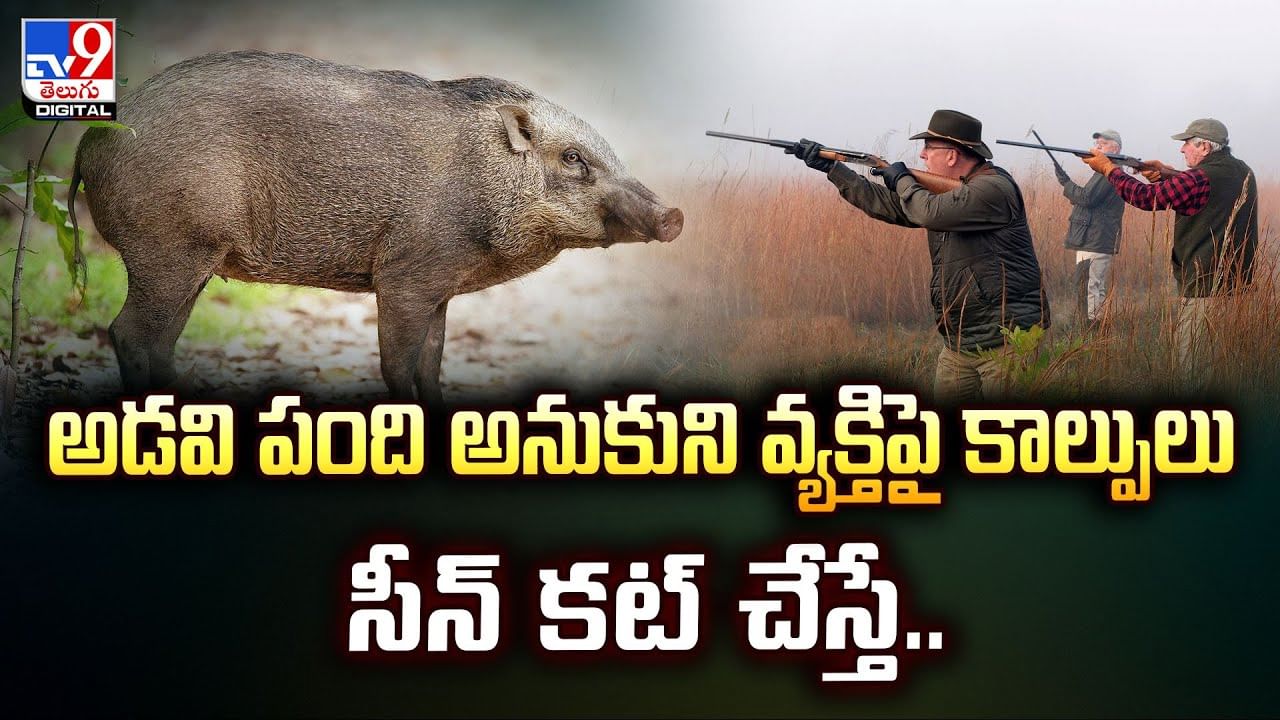 అడవి పంది అనుకుని వ్యక్తిపై కాల్పులు.. సీన్ కట్ చేస్తే