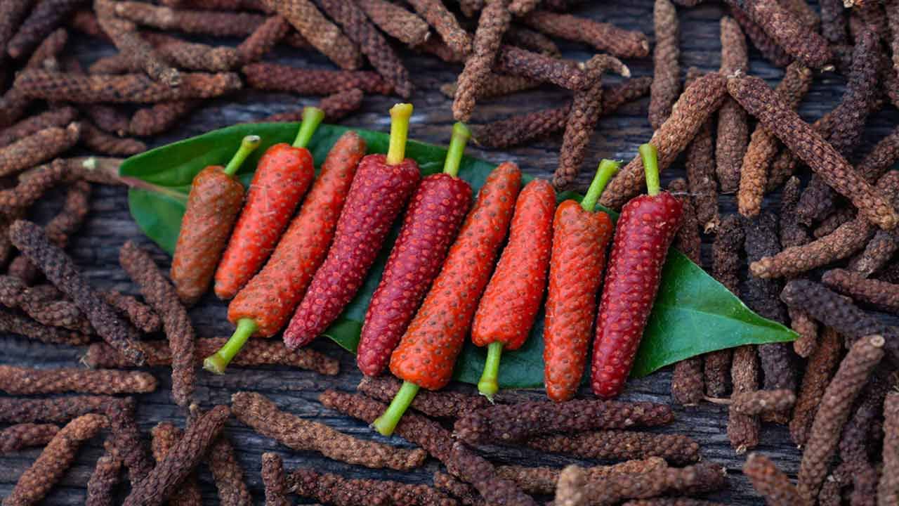 పిప్పలి జీర్ణక్రియను మెరుగుపరిచే లక్షణాలను కలిగి ఉంది. ఇది శరీరం జీర్ణ శక్తిని పెంచడానికి పనిచేస్తుంది. ఇది గ్యాస్, మలబద్ధకం, అజీర్ణం వంటి సమస్యలను తగ్గించడంలో సహాయపడుతుంది. అసిడిటీ లేదా గ్యాస్ సమస్యలు ఉన్నవారికి ఇది చాలా ప్రయోజనకరంగా ఉంటుంది.