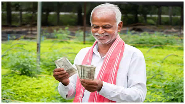 PM Kisan: రైతులకు అలర్ట్.. మీకు పీఎం కిసాన్ 19వ విడత రాలేదా..? ఈ కారణం కావచ్చు.. ఇలా చేయండి!