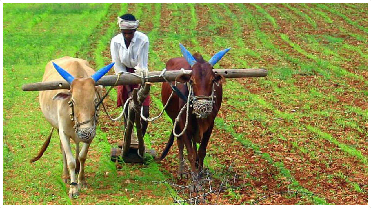 PM Kisan Scheme: పీఎం కిసాన్ 20వ విడత ఎప్పుడు వస్తుందో తెలుసా..?