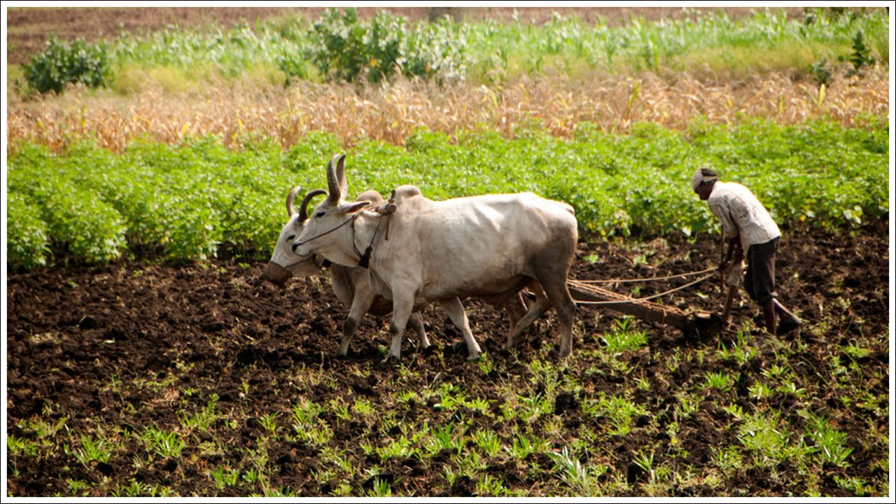 ఈ పథకంలో భాగంగా జాబితాలో మీ పేరు లేకుంటే, మీరు PM కిసాన్ సమ్మాన్ హెల్ప్‌లైన్ 011-24300606 కు కాల్ చేయడం ద్వారా మీ ఫిర్యాదును నమోదు చేసుకోవచ్చు. పథకం ప్రయోజనాలు సరైన రైతులకు చేరేలా ప్రభుత్వం e-KYC (ఎలక్ట్రానిక్ KYC)ని తప్పనిసరి చేసిందని గుర్తుంచుకోండి. మీ ఆధార్ కార్డ్ మొబైల్  నంబర్‌కు లింక్ చేయబడితే  మీరు PM కిసాన్ పోర్టల్‌ను సందర్శించడం ద్వారా OTP ద్వారా e-KYC చేయవచ్చు. మొబైల్ నంబర్ లింక్ చేయకపోతే మీరు సమీపంలోని CSC (కామన్ సర్వీస్ సెంటర్)కి వెళ్లి వేలిముద్ర ధృవీకరణ ద్వారా e-KYC పొందవచ్చు.