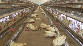 AP – Telangana: తెలుగు రాష్ట్రాల్లో పెరిగిన మద్యం ధరలు.. ఇవిగో వివరాలు