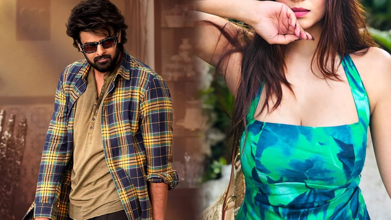 Prabhas: ప్రభాస్‌ బిహేవియర్ చూసి షాక్ అయ్యాను.. స్టార్ హీరోయిన్ కామెంట్స్