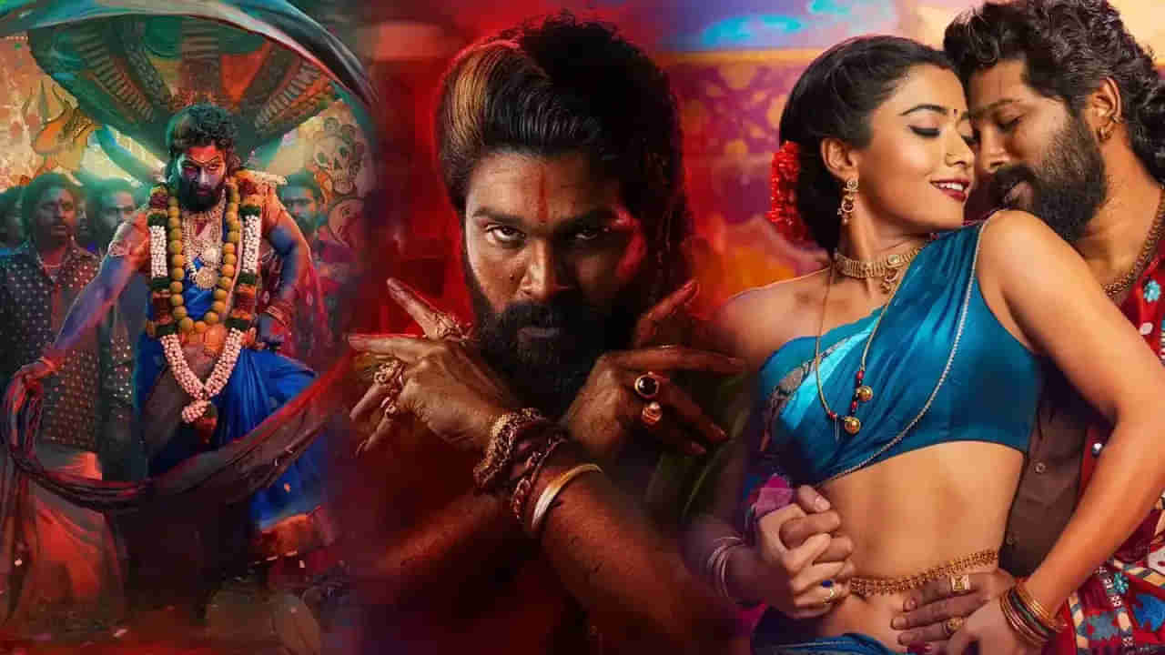 Pushpa 2: ఇక బుల్లితెరపై రప్పా రప్పా.. టీవీలో అల్లు అర్జున్ పుష్ప 2.. ఎప్పుడు, ఎక్కడ టెలికాస్ట్ కానుందంటే?