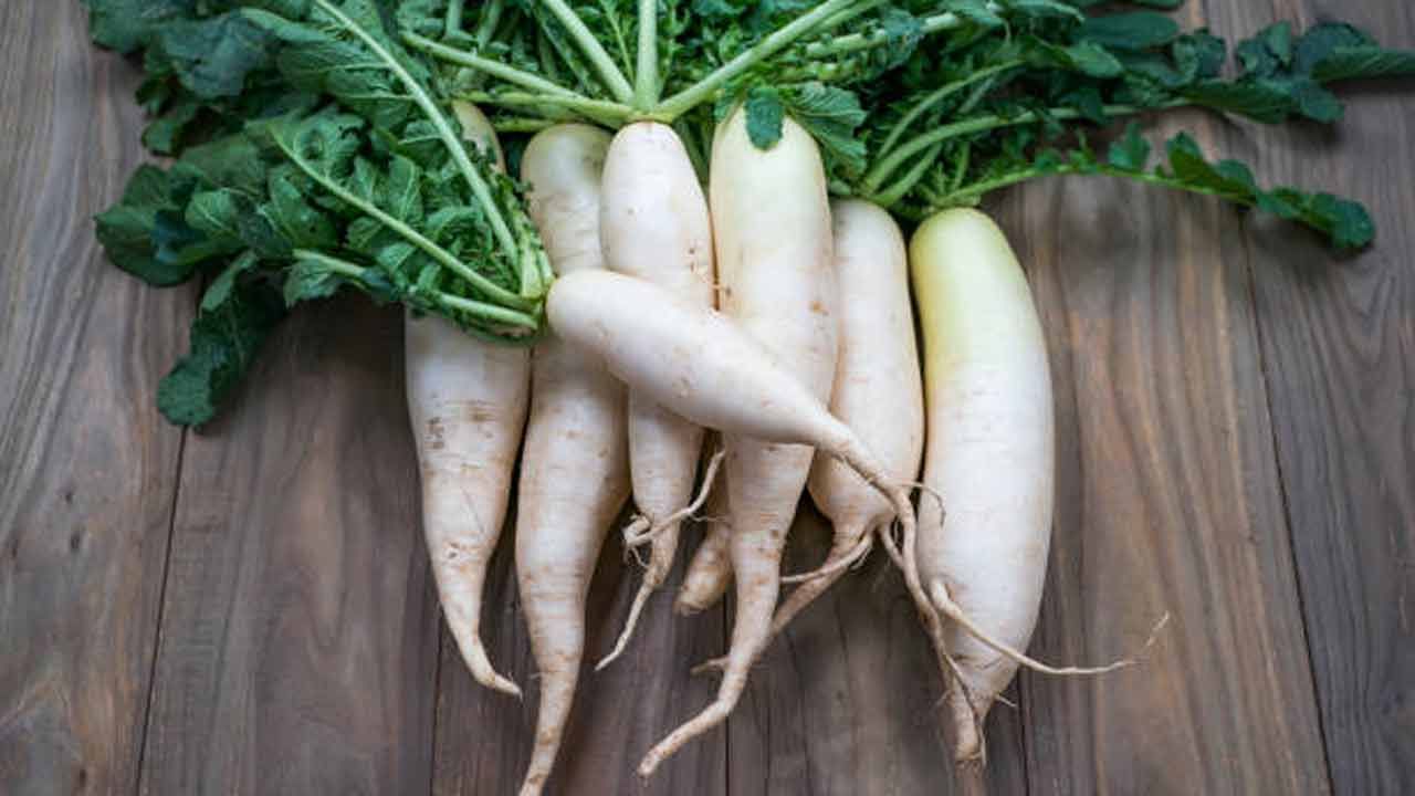 ముల్లంగి వాసన కాస్త వెగటుగా ఉంటుంది. ఈ కారణంగానే చాలా మంది దీనిని తినడానికి ఇష్టపడరు. గ్యాస్ సమస్యలు ఉన్నవారు దీనిని తింటే ఈ సమస్య ఇంకా ఎక్కువ అవుతుంది. ఈ కూరగాయ శీతాకాలంలో ఎక్కువగా ఉత్పత్తి అవుతుంది. అయితే దీనిని వంటల్లో వినియోగిస్తే రుచికరంగా ఉండటమే కాకుండా, అనేక ఆరోగ్య ప్రయోజనాలను అందిస్తుంది.