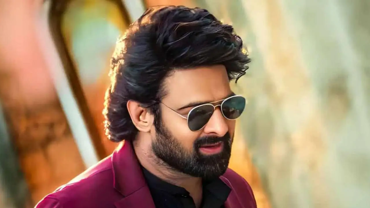 ప్యాన్ ఇండియన్ హీరోలలో ప్రభాస్ ఒక్కడే వేగంగా సినిమాలు చేస్తున్నారు. ఈ ఏడాది రాజా సాబ్ విడుదల కానుంది.. అలాగే హను రాఘవపూడి ఫౌజీ కూడా తక్కువ గ్యాప్‌లోనే రానుంది. అంటే ఇవి రెండు ఈ ఏడాది వస్తాయి. 