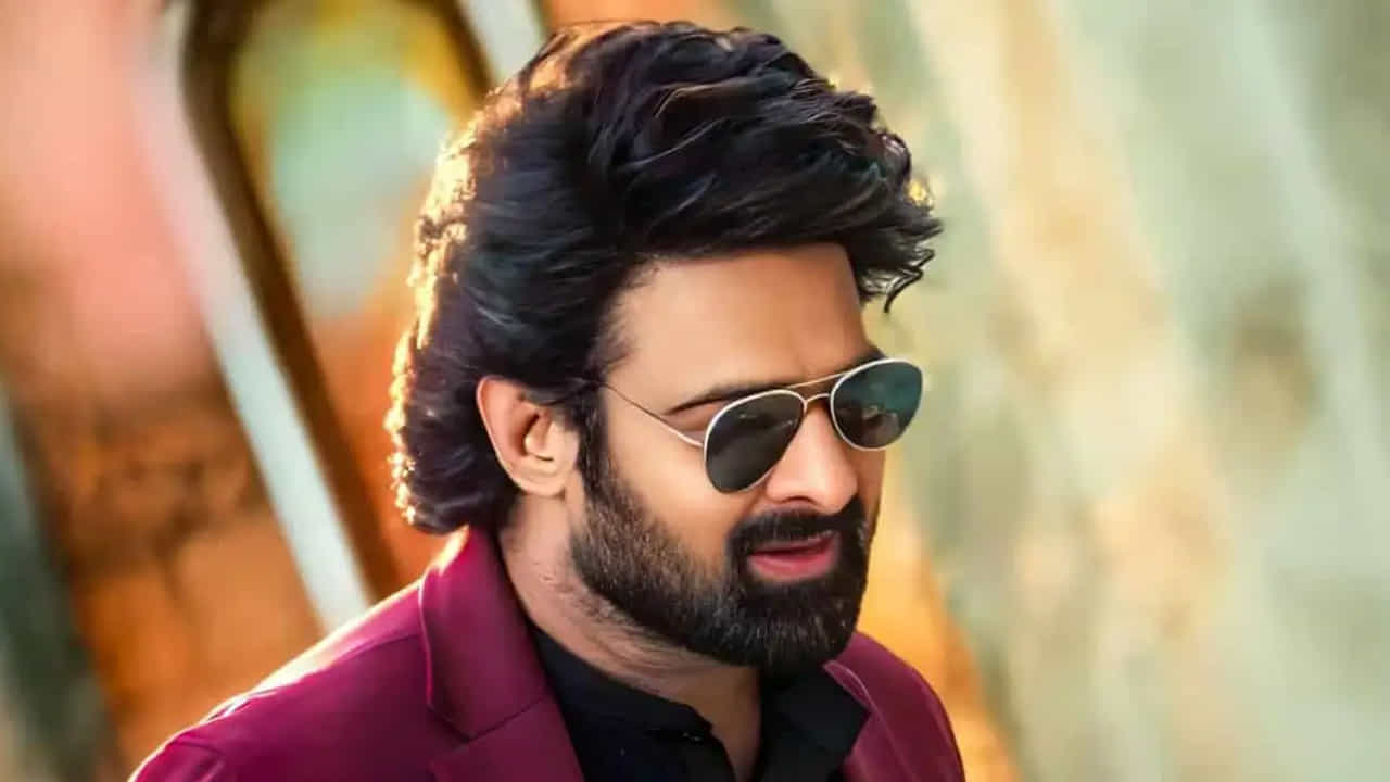 ప్యాన్ ఇండియన్ హీరోలలో ప్రభాస్ ఒక్కడే వేగంగా సినిమాలు చేస్తున్నారు. ఈ ఏడాది రాజా సాబ్ విడుదల కానుంది.. అలాగే హను రాఘవపూడి ఫౌజీ కూడా తక్కువ గ్యాప్‌లోనే రానుంది. అంటే ఇవి రెండు ఈ ఏడాది వస్తాయి. 
