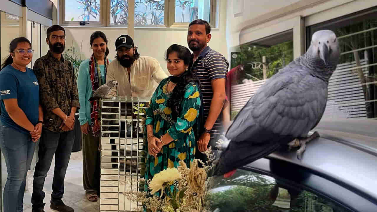 Ram Charan: కుట్టి వచ్చేసింది.. సంతోషం వ్యక్తం చేసిన చరణ్ ఉపాసన