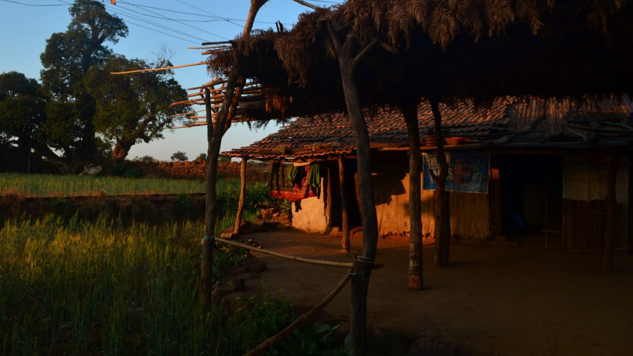 Viral: ఆ ఇంట్లో రోజూ తెల్లవారుజామున వింత శబ్దాలు.. ఏంటని వెళ్లి చూడగా