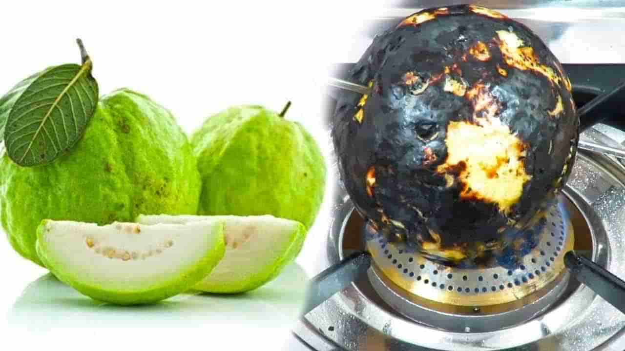 జామకాయను ఇలా కాల్చి తింటారని మీకు తెలుసా..? ఆరోగ్య ప్రయోజనాలు తెలిస్తే అస్సలు విడిచిపెట్టరు..