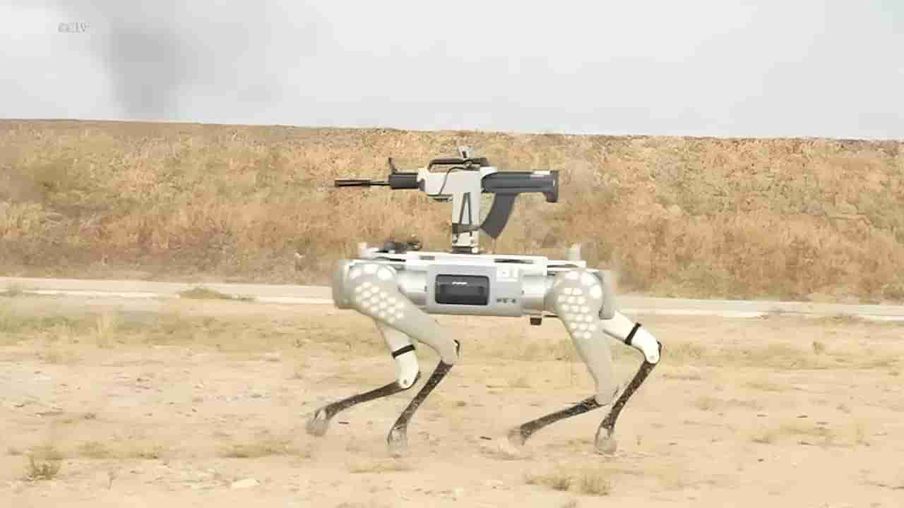 Watch Video: మానవరహిత యుద్ధానికి సిద్ధమైన చైనా.. కదనరంగంలో చుక్కలు చూపించిన రోబో డాగ్..!