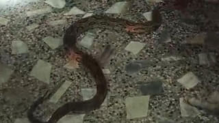 Andhra News:  ఫిజిక్స్‌ టీచర్‌.. ఇస్మార్ట్‌ ఆలోచన.. అదిరింది..!