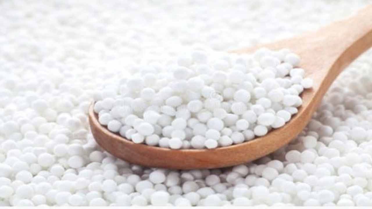 సగ్గు బియ్యంలో శరీరానికి చలువ చేసే లక్షణాలున్నాయి పుష్కలంగా ఉన్నాయని పోషకాహార నిపుణులు చెబుతున్నారు. వీటిని పాలు, చక్కెర పోసి పాయ‌సంలా వండుకుని తింటే శరీరానికి చలువ చేస్తుంది. ఎండలో తిరిగే వారు ఈ సగ్గుబియ్యం పాయ‌సం తీసుకుంటే వడదెబ్బకు గురికాకుండా కాపాడుతుంది. 