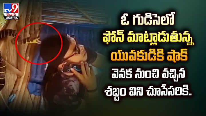 ఓ గుడిసెలో ఫోన్ మాట్లాడుతున్న యువకుడికి షాక్... వెనక నుంచి వచ్చిన శబ్దం విని చూసేసరికి ఓ గుడిసెలో ఫోన్ మాట్లాడుతున్న యువకుడికి షాక్... వెనక నుంచి వచ్చిన శబ్దం విని చూసేసరికి