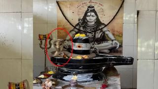 Chandrababu: మన ఒంగోలు గిత్త ధర రూ.41 కోట్లు.. సీఎం చంద్రబాబు ఏమన్నారో తెలుసా..?